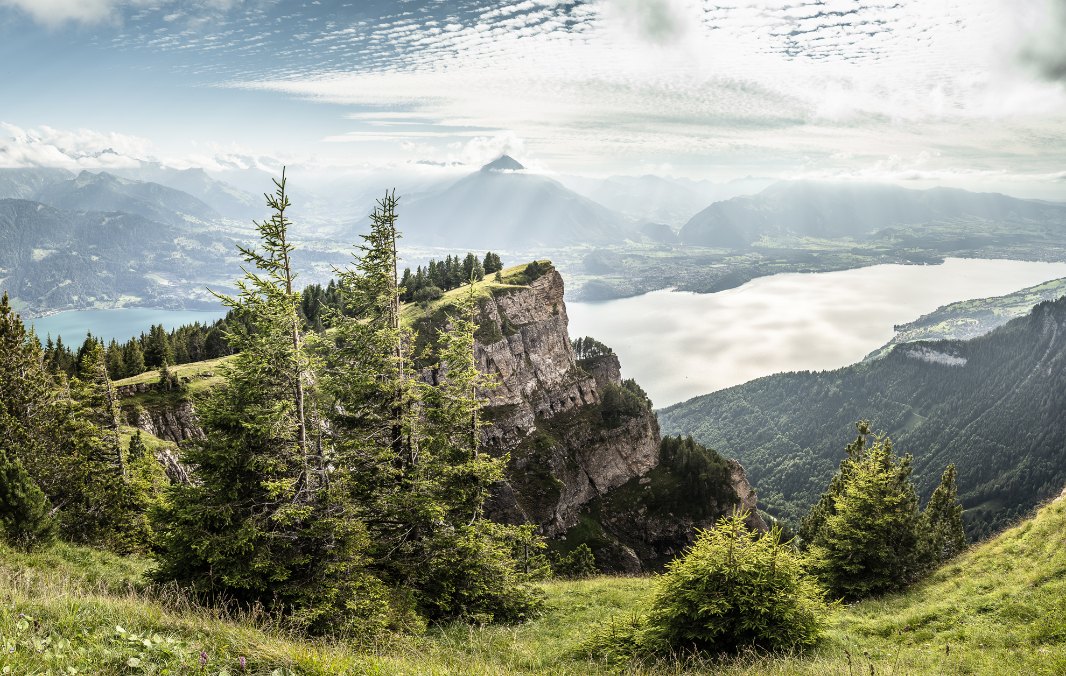 Keyvisual_Niederhorn_Sommer
