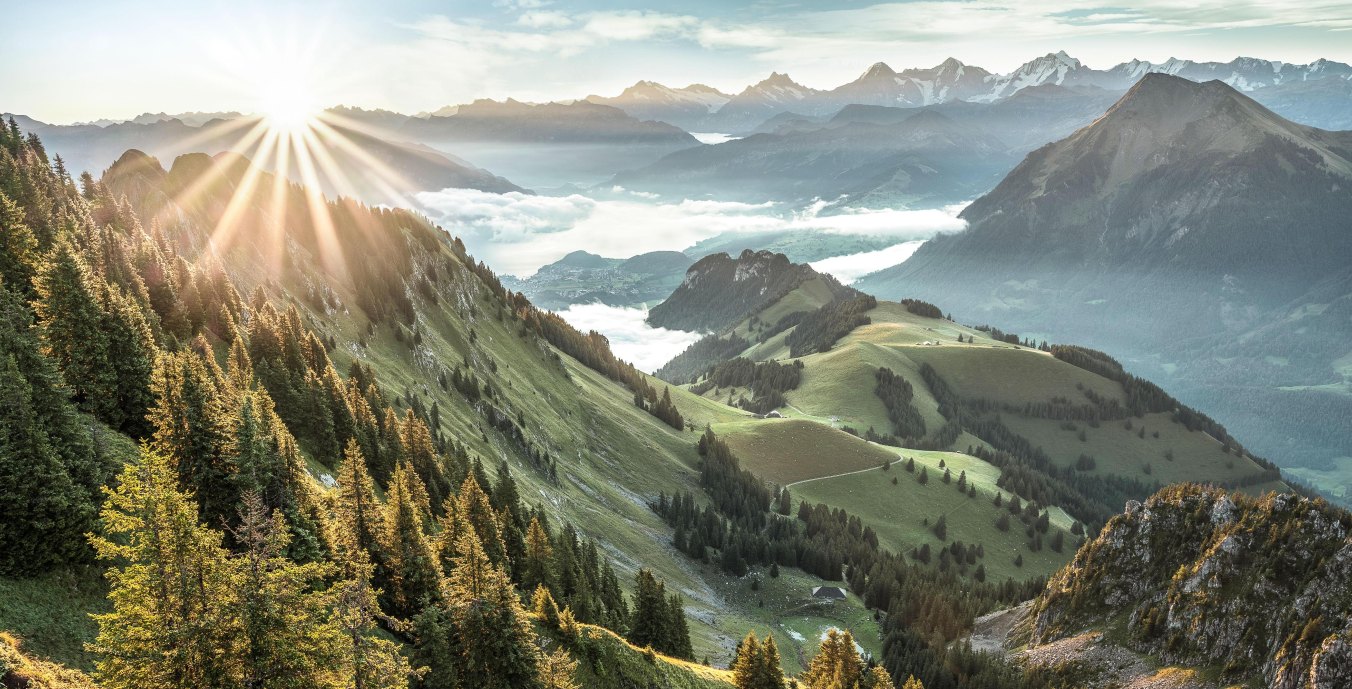 Keyvisual_Gantrisch_Fruehling.jpg