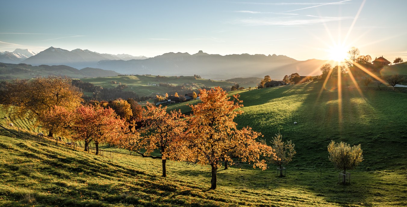 Keyvisual_Heimenschwand_Herbst