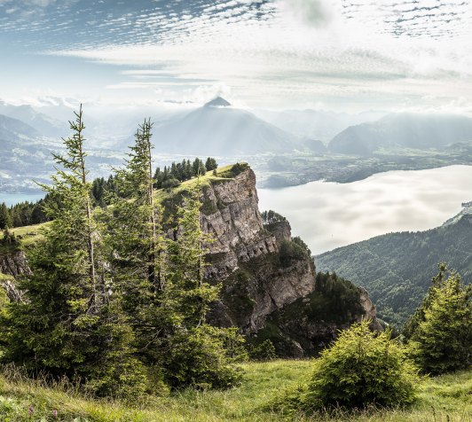 Keyvisual_Niederhorn_Sommer