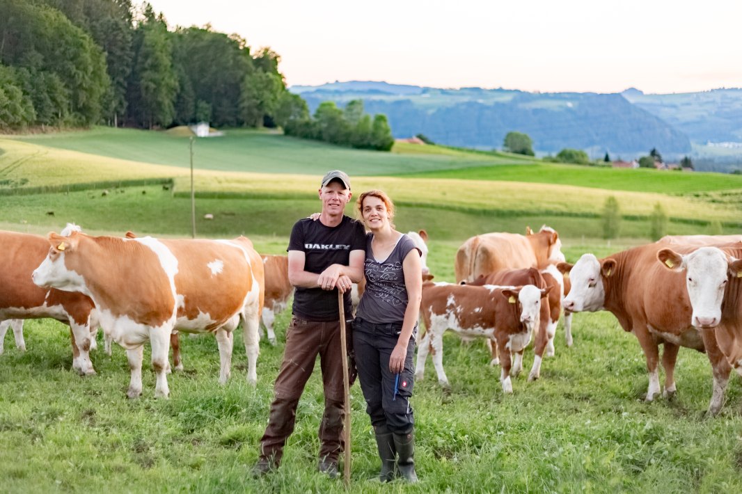Headerbild_reinhard_hof
